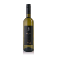 NOTES SAUVIGNON BLANC