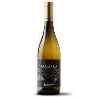 GEOMETRIA MOSCHOFILERO