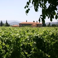 BESIRI WINERY