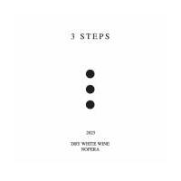 3 STEPS