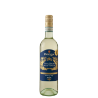 Pinot Grigio delle Venezie