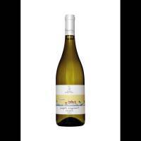 ΜΙΚΡΗ ΕΥΓΕΝΙΚΗ ΛΕΥΚΟΣ  ΒΙΔΙΑΝΟ