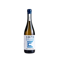 KALLOS stergiano 2023 [cosmos]