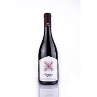 ΑΡΧΩ - ΞΙΝΟΜΑΥΡΟ