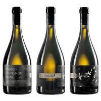 PROMISE (ΑΜΑΣΣΙ-SAUVIGNON BLANC)